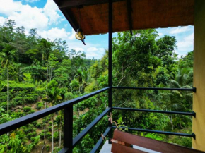 Sunshine Forest Lodge - Sinharaja